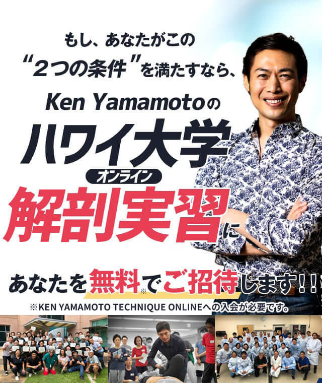 KEN YAMAMOTOのハワイ大学オンライン解剖実習あなたを無料でご招待します!!